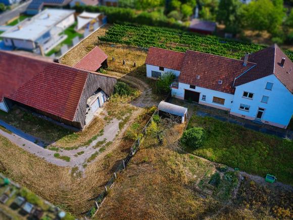 Immobilienagentur Jubelt